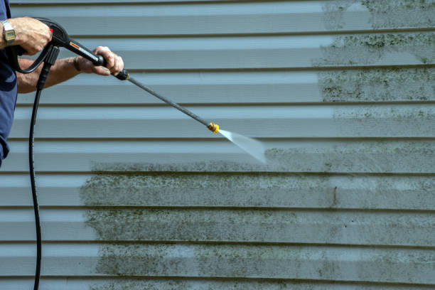 Best Gutter Cleaning  in Claremont, NC